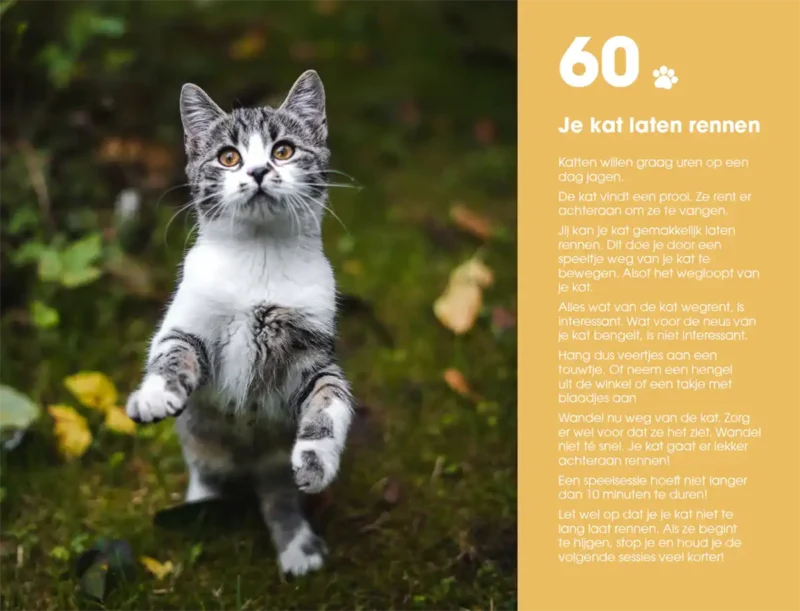 Boek I Love Happy Cats for Kids van Anneleen Bru