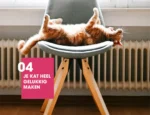 Boek I Love Happy Cats for Kids van Anneleen Bru