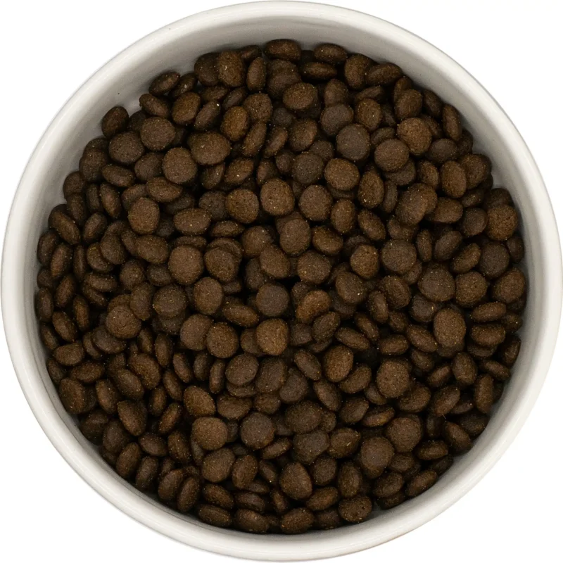 graanvrij-droogvoer-kip-zalm-zoete-aardappel-brokken Graanvrij droogvoer voor kitten Kip en Zalm met zoete aardappel brokken