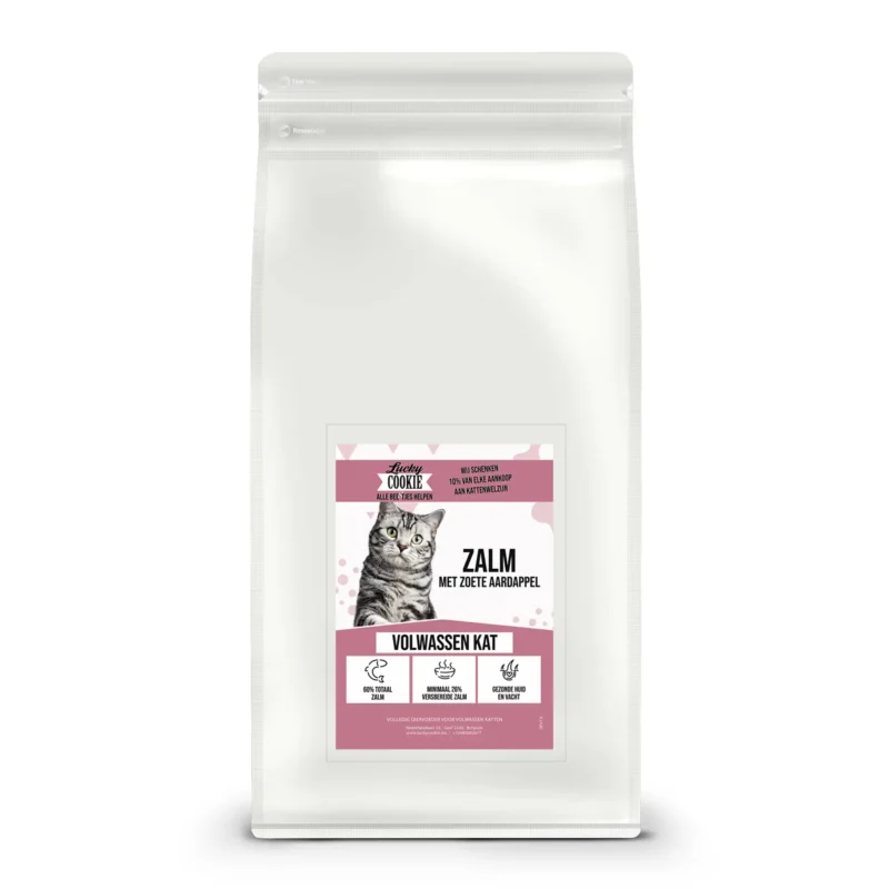 Graanvrij droogvoer voor volwassen kat zalm met zoete aardappel zak 2kg