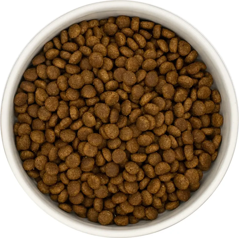 kalkoen-kip-kitten-2 Kattenvoer brokjes kitten kalkoen kip