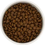 Kattenvoer brokken kalkoen kip volwassen kat