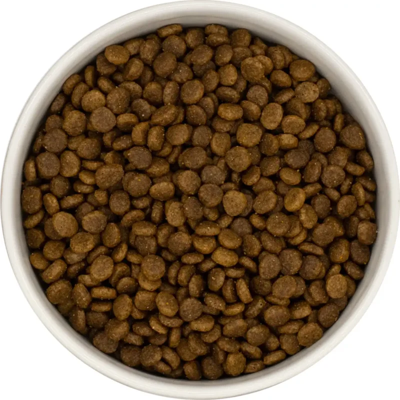 Kattenvoer brokken voor kittens met kip vis en rijst zak 2kg