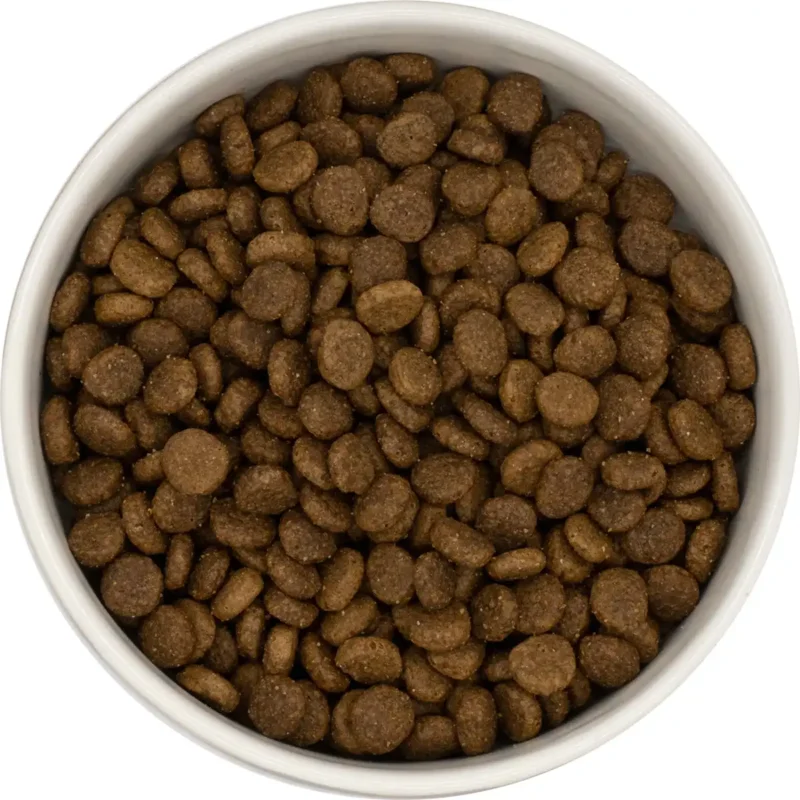 Super premium Kattenvoer brokken volwassen kat kip rijst zak 2kg
