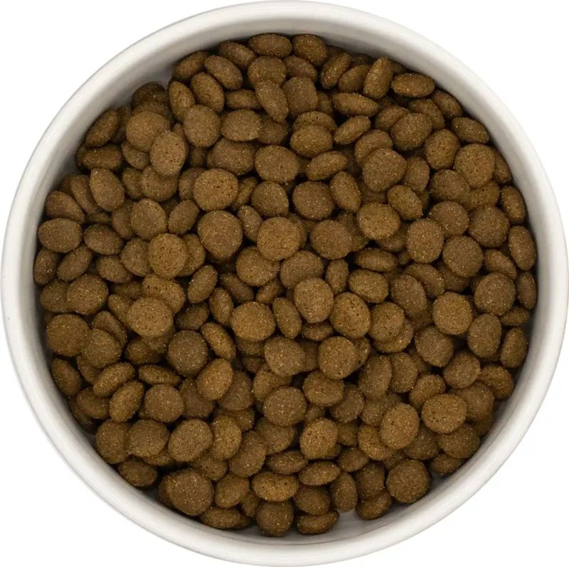 Kattenvoer brokken zalm witte vis gesteriliseerde volwassen kat