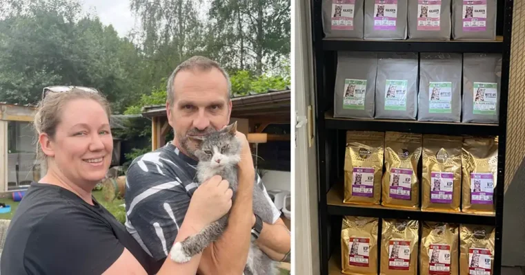 Lucky Cookie kattenvoer bij asiel Little Jungle