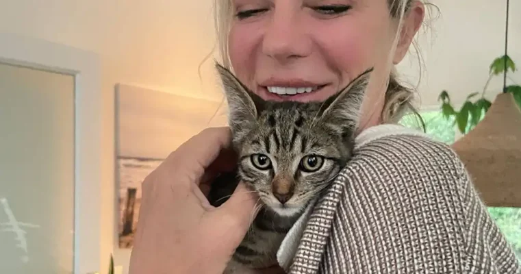 Kitten adopteren