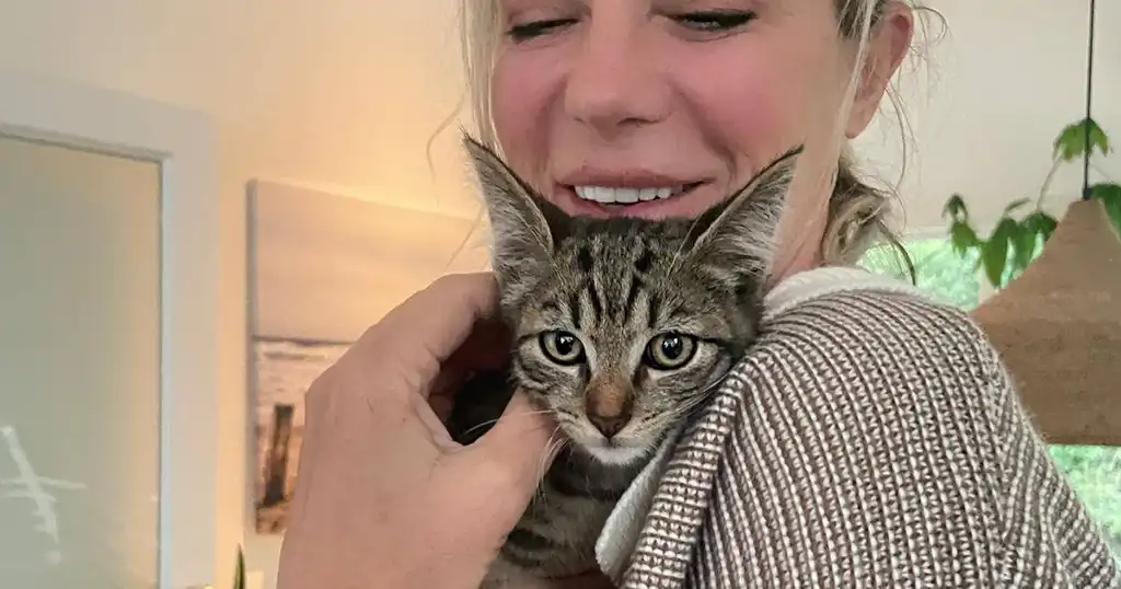 Kitten adopteren