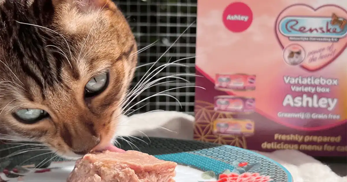 Renske kattenvoer review