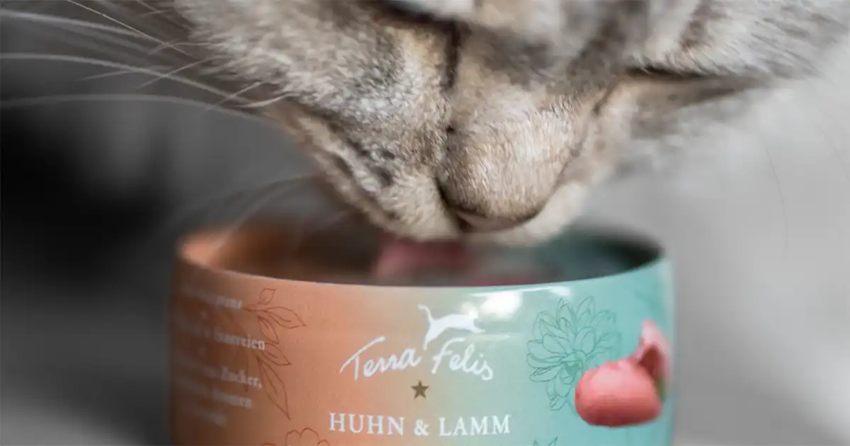 Terra Felis kattenvoer review