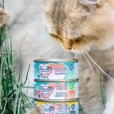 Renske kattenvoer review