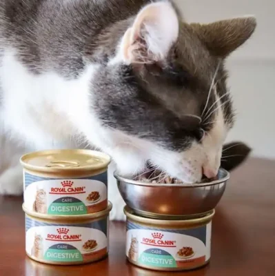 Royal Canin kattenvoer review