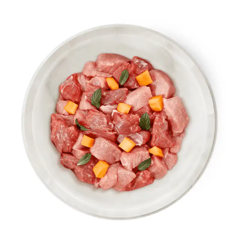 terra-felis-rund-konijn-2 Terra Felis Rund & Konijn