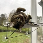 Olivia raamhangmat grijs met kat