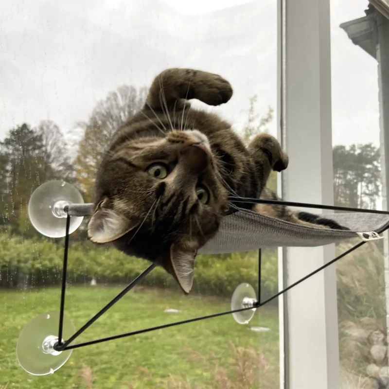 Olivia raamhangmat grijs met kat