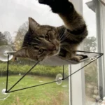 Olivia raamhangmat grijs met kat