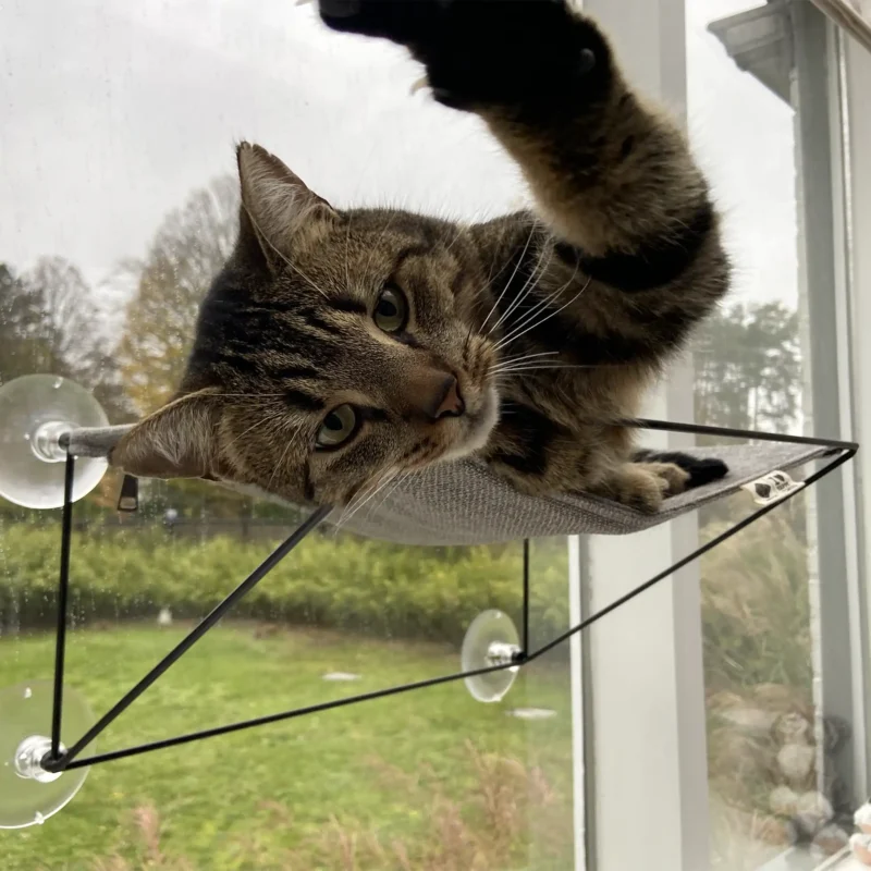 Olivia raamhangmat grijs met kat