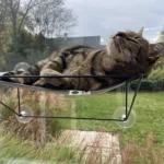 Olivia raamhangmat met kat