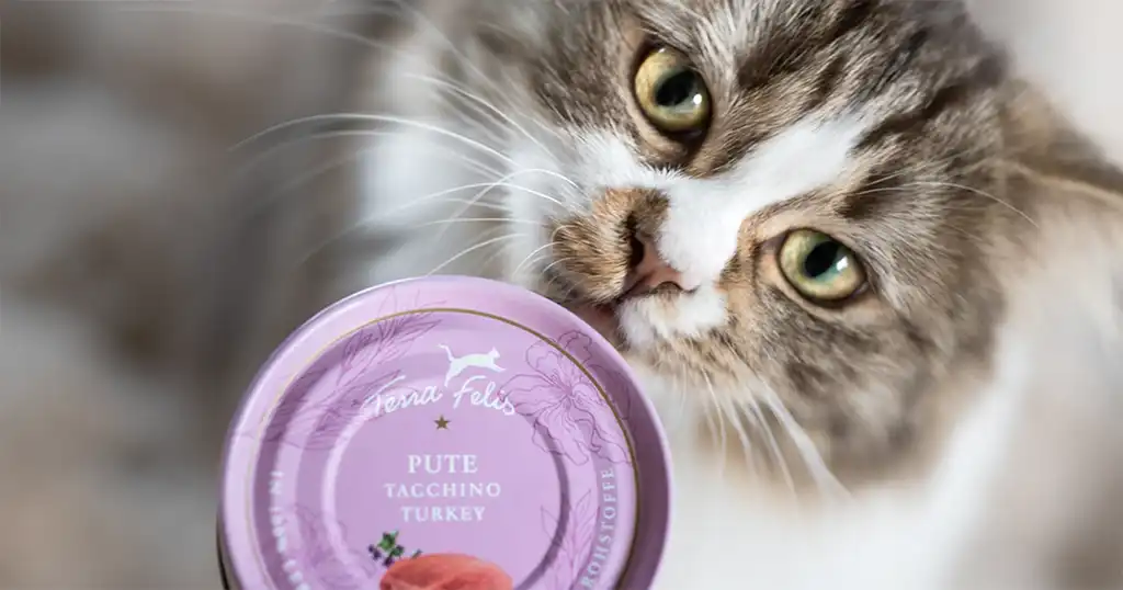 Terra Felis kattenvoer
