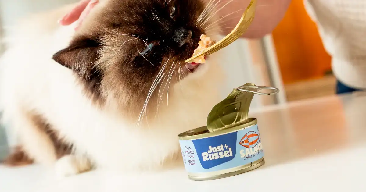 Just Russel kattenvoer review