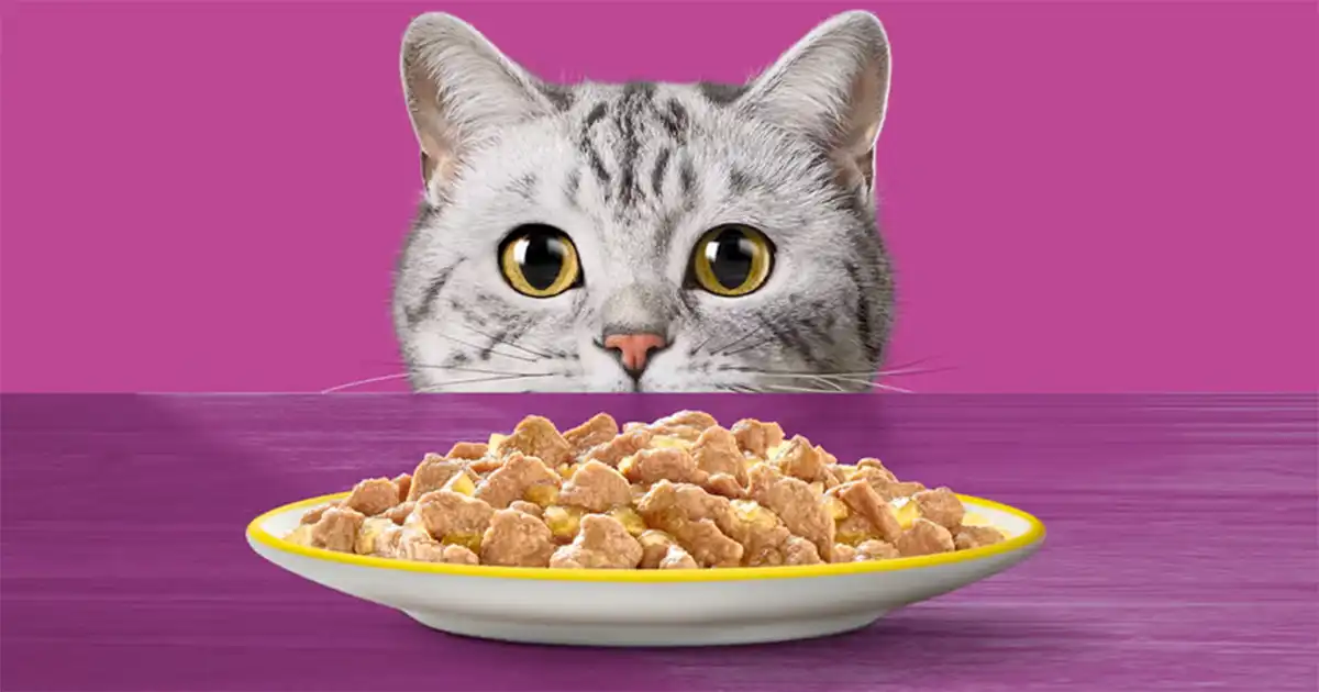 Whiskas kattenvoer review